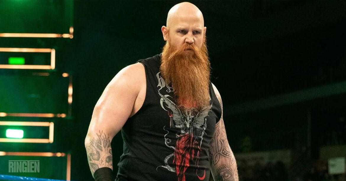 Erick Rowan - Ringten