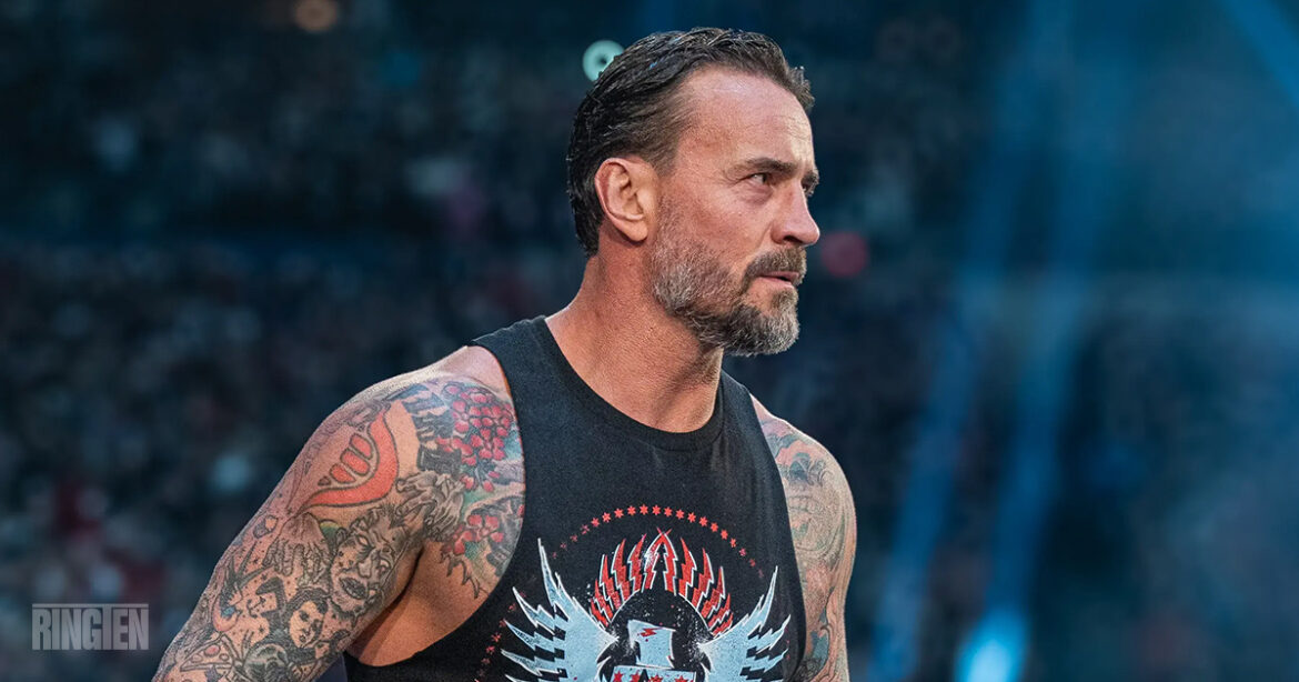 CM Punk WWE - Ringten